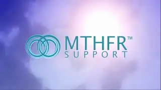 MTHFR Support™-The Methylation Report