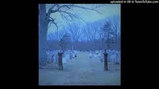 SCXPZ- IMPACT w/HXNJV
