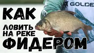 Как ловить фидером много разной рыбы?! Важные нюансы и хитрости. Фидерная рыбалка на реке.