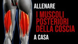 Come allenare i bicipiti femorali a casa -  3 esercizi per femorali a corpo libero (Parte 1)
