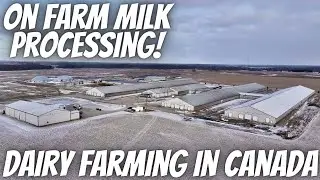 Walker Farms Tour! 1700 cows, Bio Digester, Milk Processing Plant!