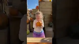 Hi! It’s been a while. Take a look at some pumpkin patch action at Tulleys farm! 🎃#shorts #daytrip