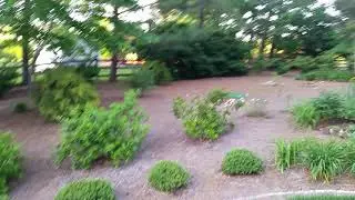 Hill's Spring Yard 2019