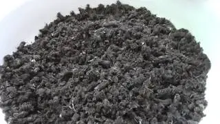 Уникальное лечебное средство от всех болезней. Часть 2.
