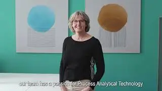 InProcess-LSP introducing the NanoFlowSizer