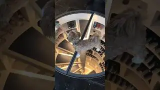Винный погреб для дома как сделать 🏠