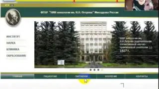 Елена Шалюта: