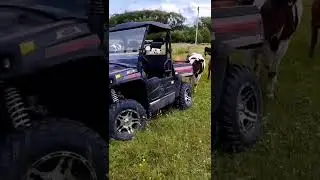 Для работы и отдыха 
