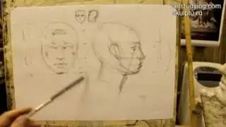 Drawing Lessons. Portrait. Episode 2: Head Proportions