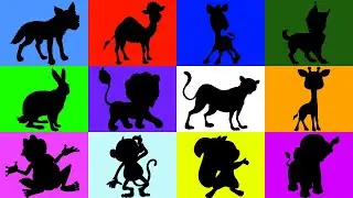 Animals for kids - Zoo - Learning animals