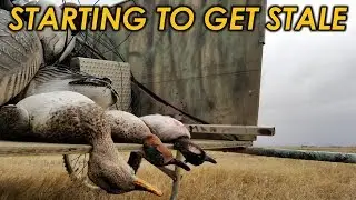 Starting To Get Stale | Duck Hunt 2018