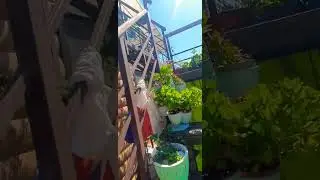 27 августа 2024 Адлер село Черешня. Снова ЛЕТО +30 Жара.