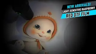 New Arrivals! Light-Sensitive Raspberry Red DTF Film