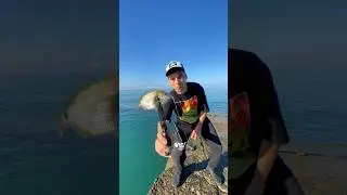 Пробуем ловить Зубаря и другую рыбку 