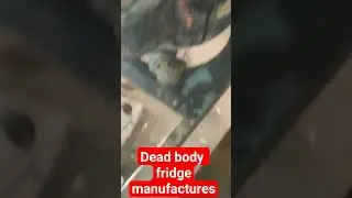 🇮🇳 Dead body fridge manufactures 