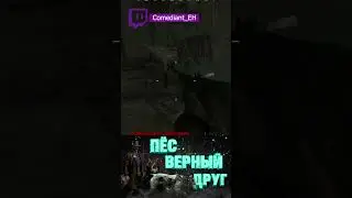 ИСТОРИЯ ПРО ЛОШАДЬ - HUNT: SHOWDOWN в 2024  