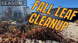 FREE Leaf Cleanup Round 2: Can I Outdo Last Year?