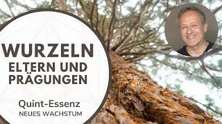 Teil 4 zu NEUES WACHSTUM