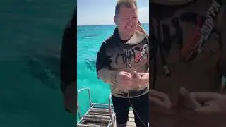 #рыбалкакрасноеморе