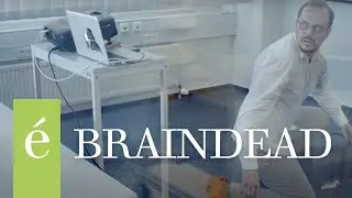 Braindead durch schlechte Präsentationen