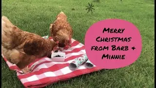 Chicken Christmas Dinner ❤️🎄