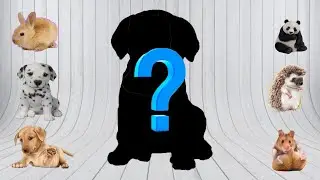 CUTE ANIMALS Panda, Rabbit, Hedgehog, Dog, Hamster, Hare 팬더 토끼 고슴도치 개 햄스터 토끼