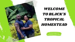 Welcome To Black's Tropical Homestead