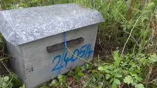 J'ai retrouvé l'essaim volage.