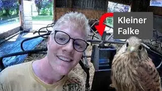 FarmVlog#176 - Wird das Silo leer vor dem zweiten Schnitt