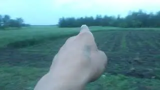 вернётся муравей и новая работа