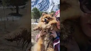 Альпинист года 