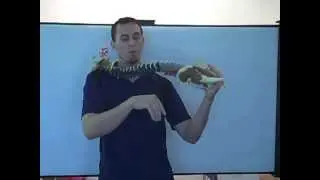 How To Sleep With A Disc Bulge