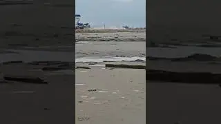 Яровое. Поездка на Розовое озеро, где добывают соль