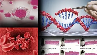 CRISPR Is Curing People Right Now. Genetic Hair Loss is Next? [ADHOC video]