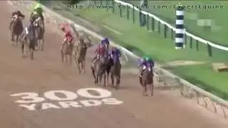 California Chrome Kentucky Derby & Preakness
