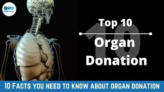 Top 10 Facts about Organ Donation | Online Alosanai