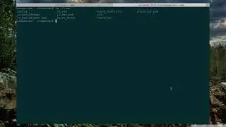 6  Run Commands On Your Server With SSH
