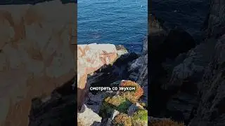 Звуки природы в Териберке