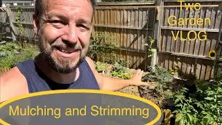 Getting to know the new plot | mulching | trimming | garden planning