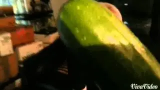 Courgette song - by Clem