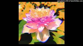 PLUCK