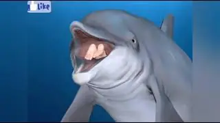 dolphin ate human
