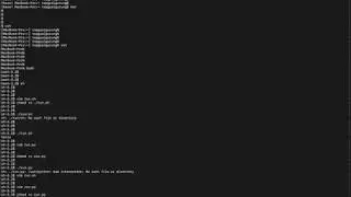 How to write different Shell scripts like bash, sh, csh, ksh, zsh and VIM editor & chmod executable