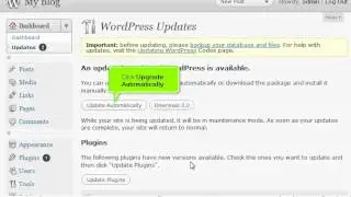 How to update your WordPress installation - 4GoodHosting Support