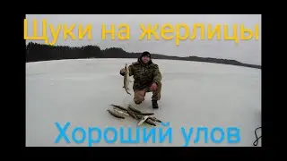 рыбалка на жерлицы,сезон 2021-2022 щуки ловятся хорошо,отличный улов 