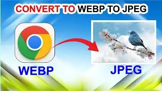 HOW TO CONVERT IMAGE WEBP TO JPEG | PHOTO DOWNLOAD NOT JPEG | WEBP KO JPEG ME KESE KARE