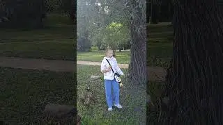 321. Овстуг. Утки атакуют.
