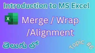 Excel Merge, Wrap, Alignment