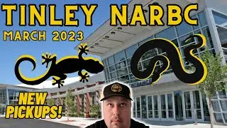 NARBC Tinley Park Reptile Expo March 2023 #reptiles #snakevideo