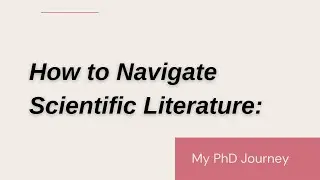 How to Navigate Scientific Literature: Empirical, Theoretical, Reviews, and Conference Proceedings